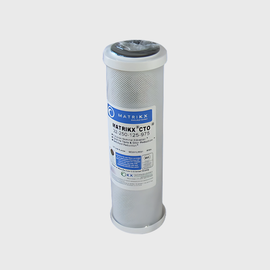 10" X 2 ½" STD CTO / 2 for Chlorine/Taste/Odour